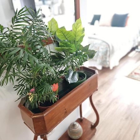 Kyra House Centro Vigo Apartment Ngoại thất bức ảnh