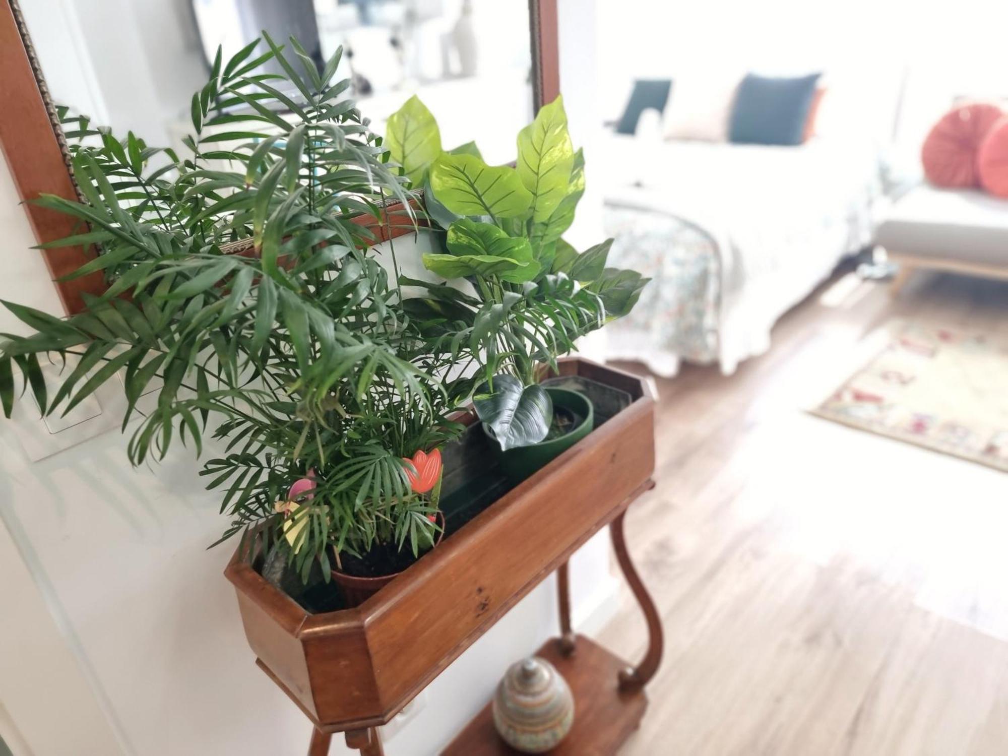 Kyra House Centro Vigo Apartment Ngoại thất bức ảnh